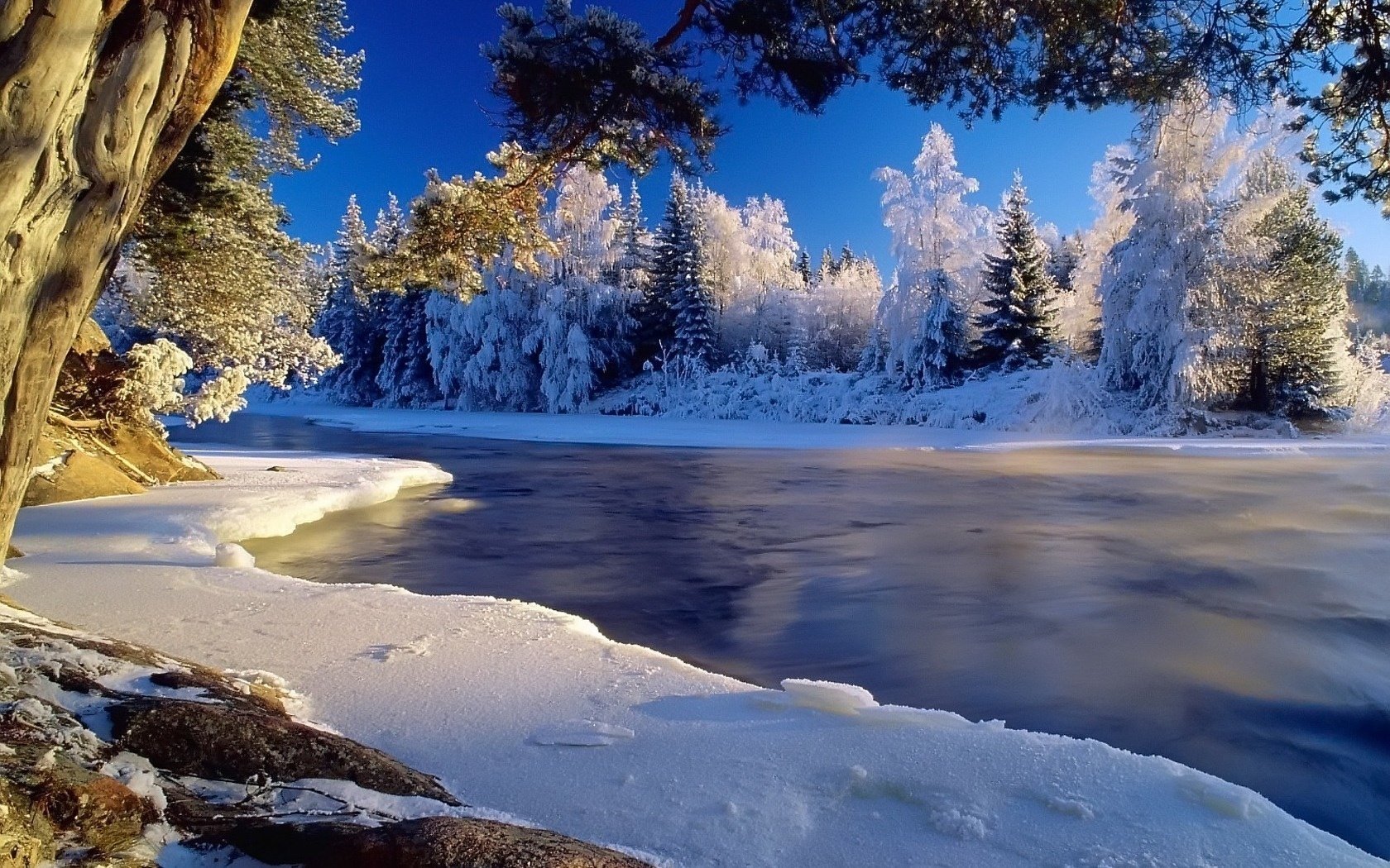зима лед река лес деревья небо