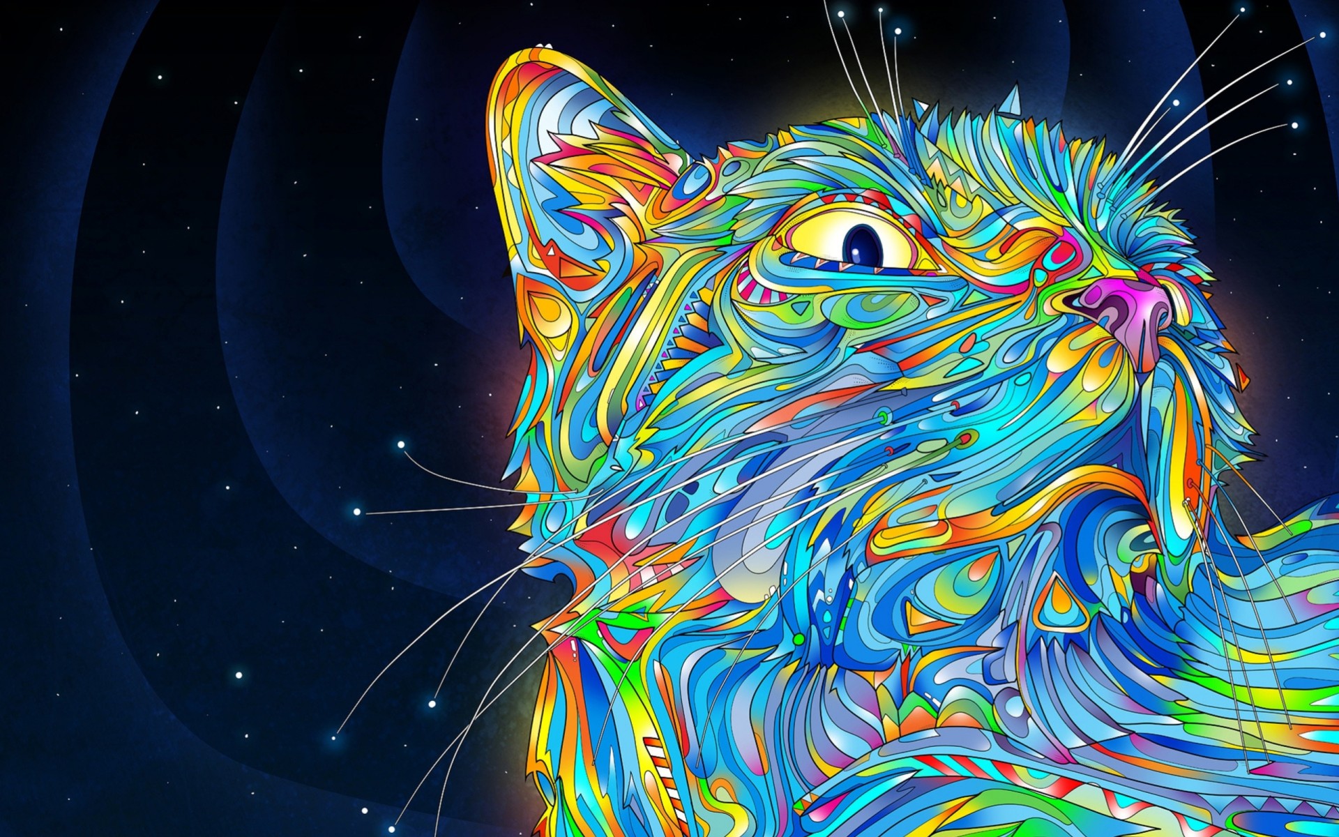 colores remolinos bigote gato