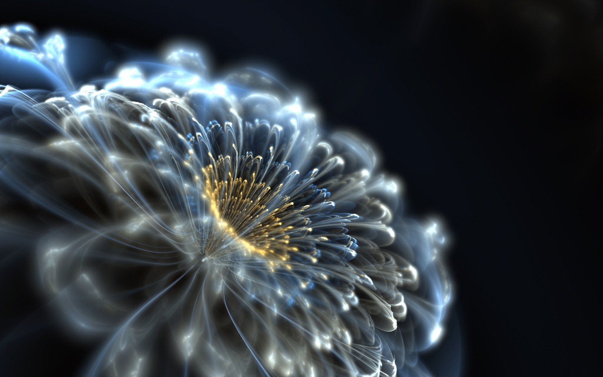 néon abstraction fleur