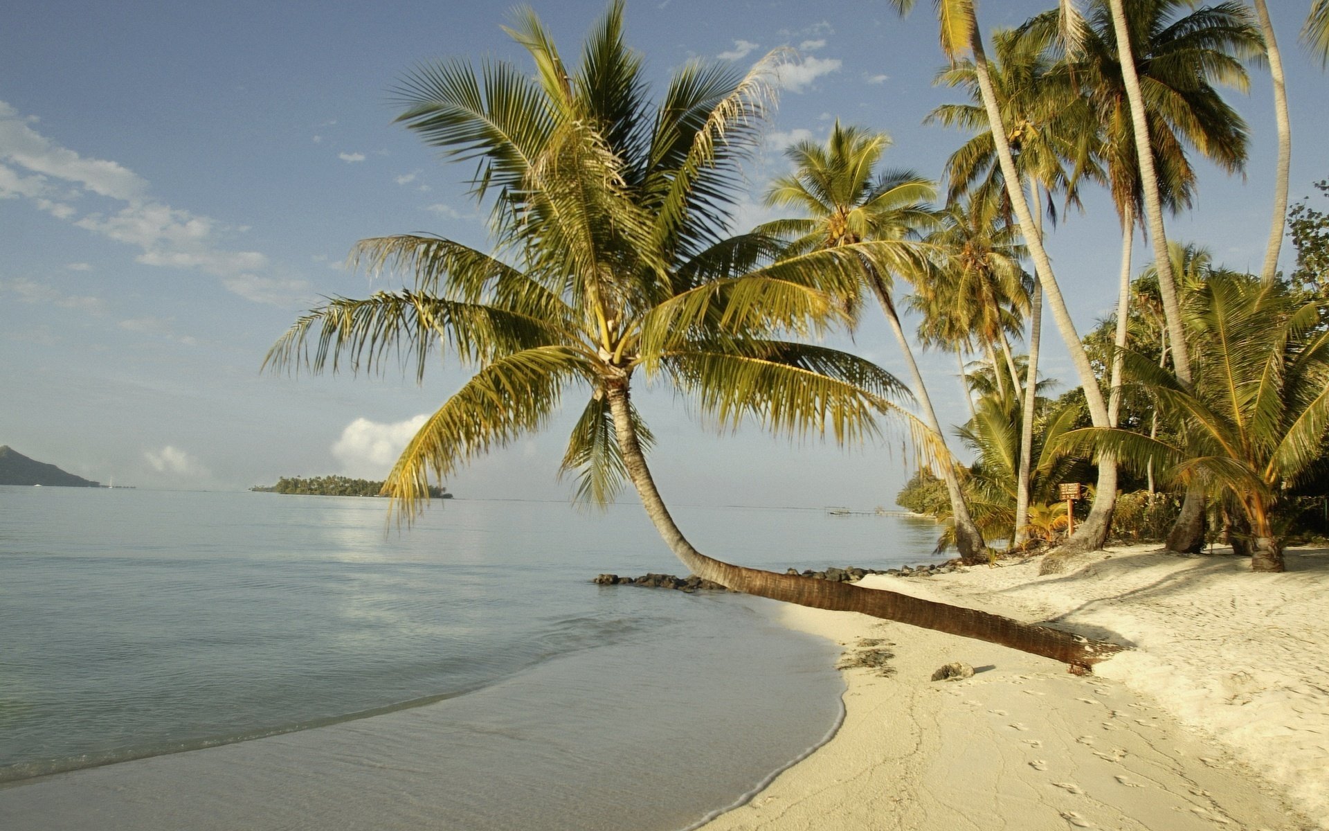 brezza leggera estate sole spiaggia costa palme sabbia alberi isole tropici orizzonte nuvole impronte costa natura paesaggio