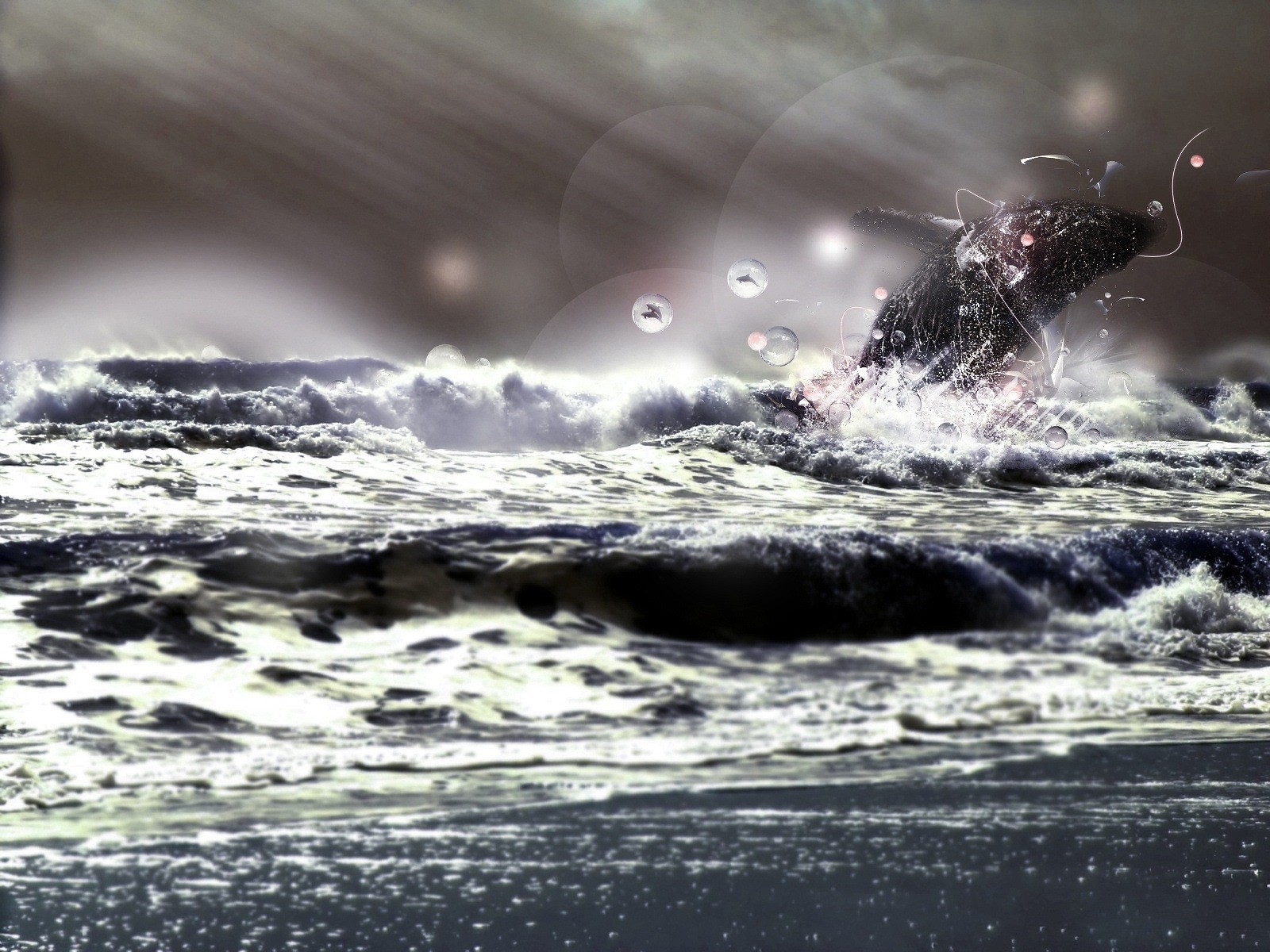 море шторм лучи брызги круги дельфин природа животные свобода энергия характер картин