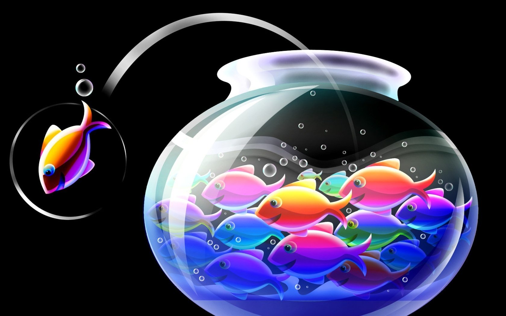 especímenes multicolores acuario peces fantasía fondo