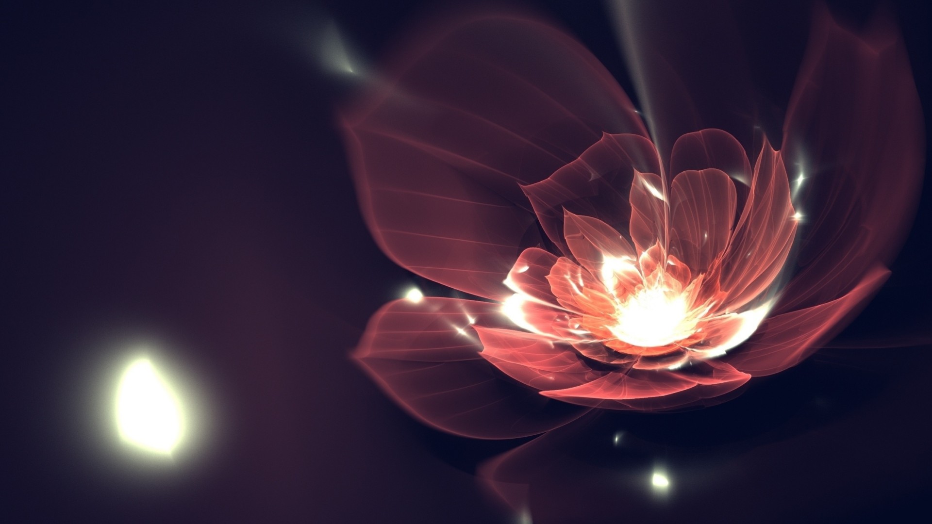 fleur art fractale lignes pétales