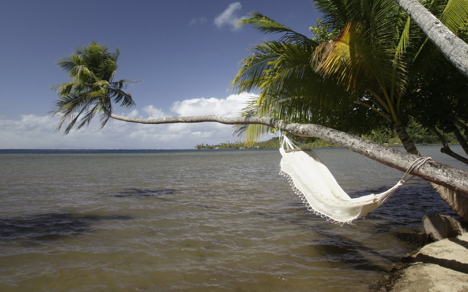 árboles hamaca sobre el agua guijarros agua cielo palmeras mar costa vacaciones naturaleza paisaje horizonte trópicos islas