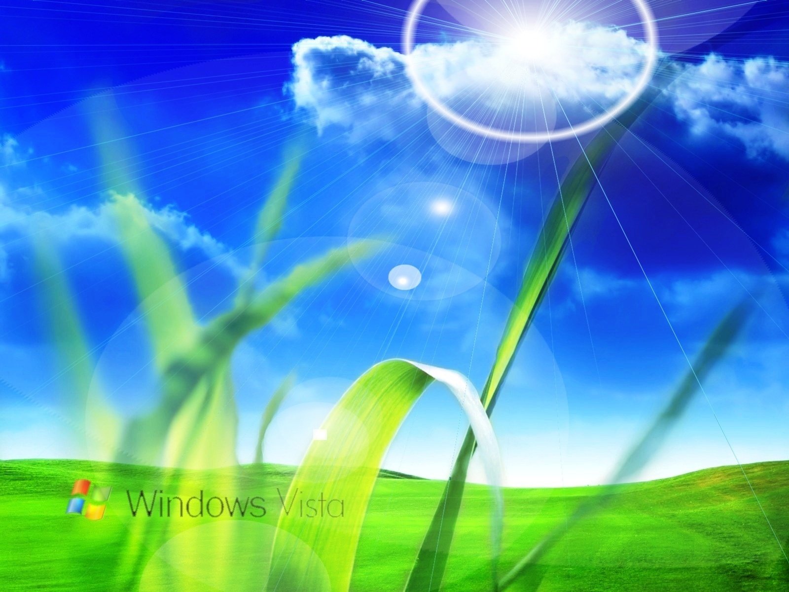 pelouse verte monticules lumière windows vista emblèmes logos