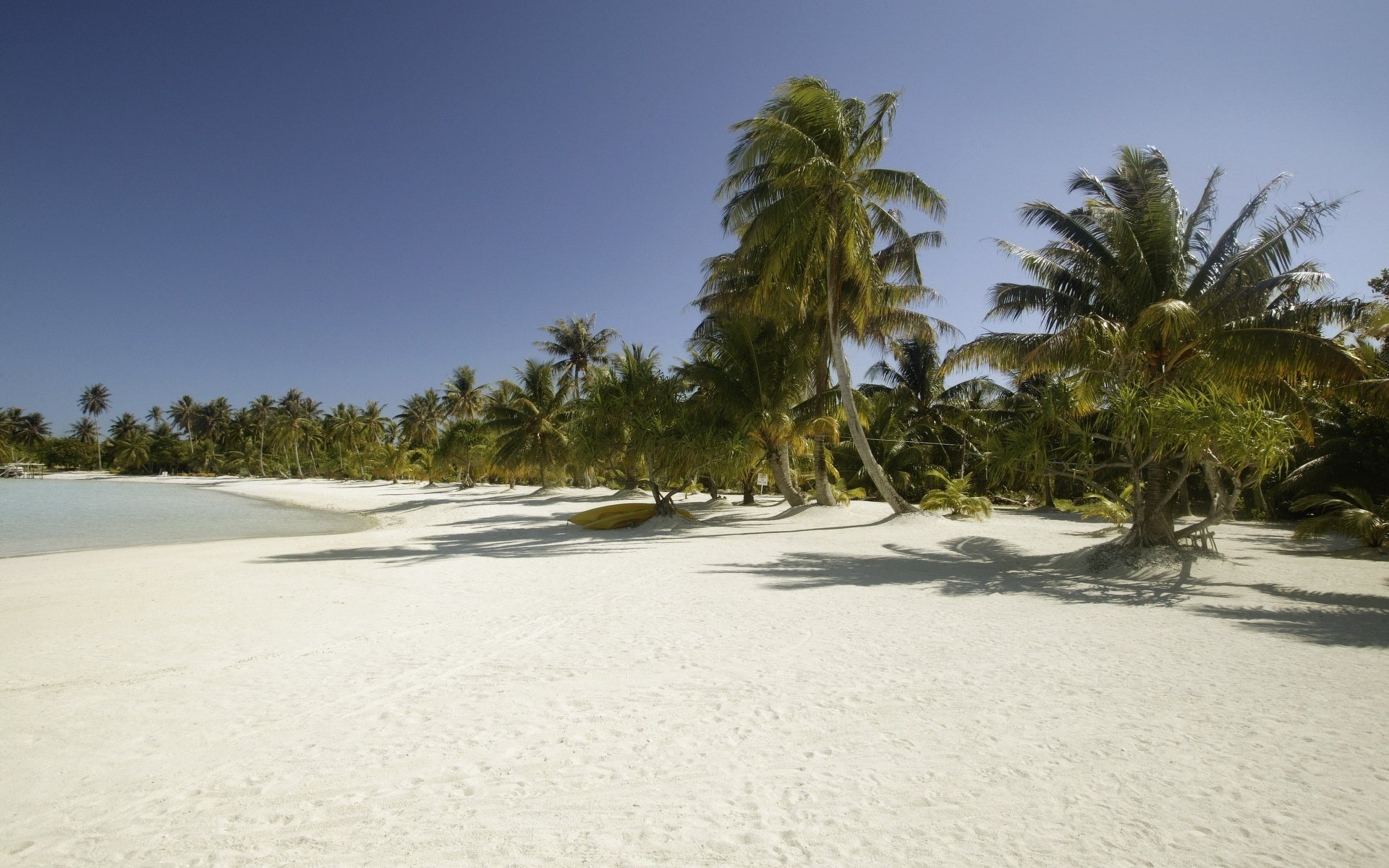 weißer strand tropisches dickicht sand strand himmel palmen meer inseln urlaub wilder strand paradies sommer hitze hitze