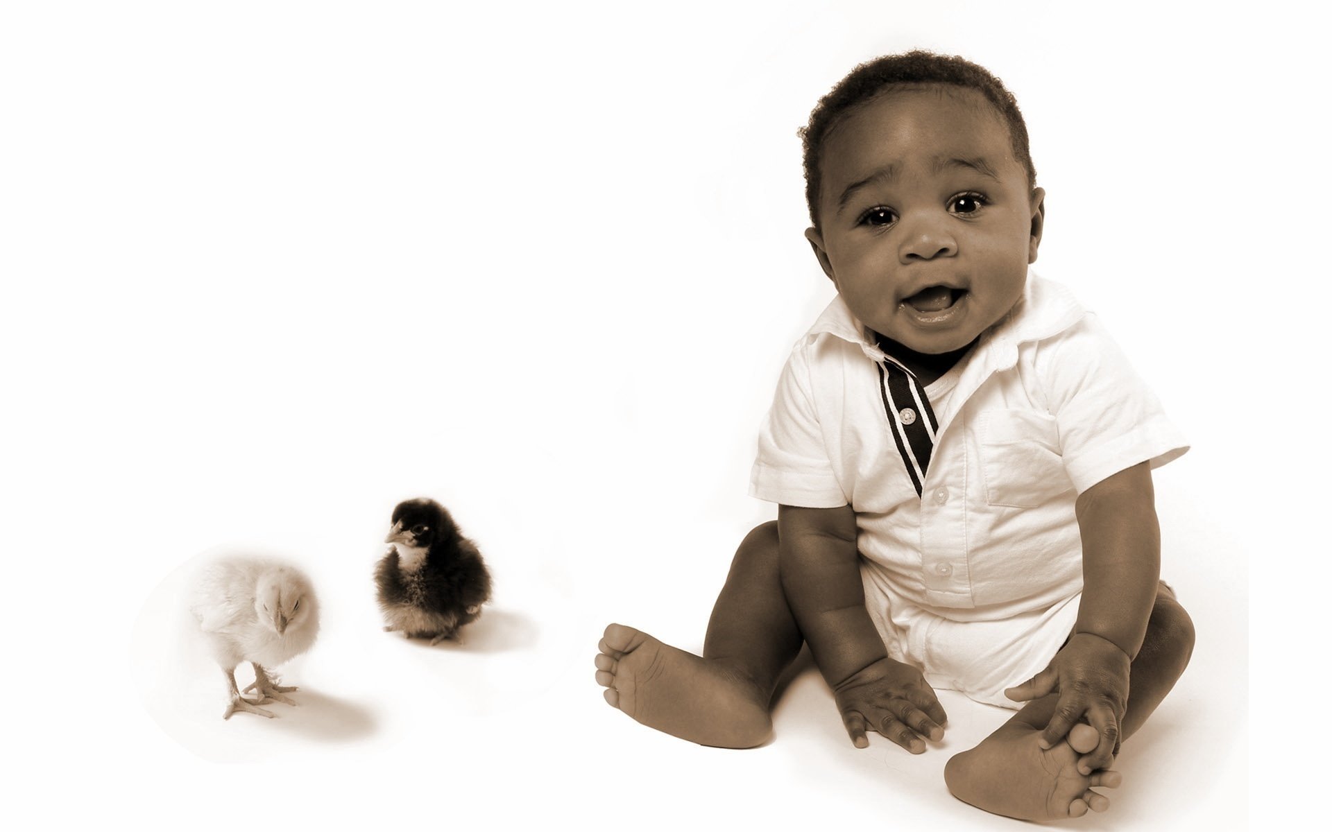 african baby black and white child chickens look eyes face background black baby animals bird