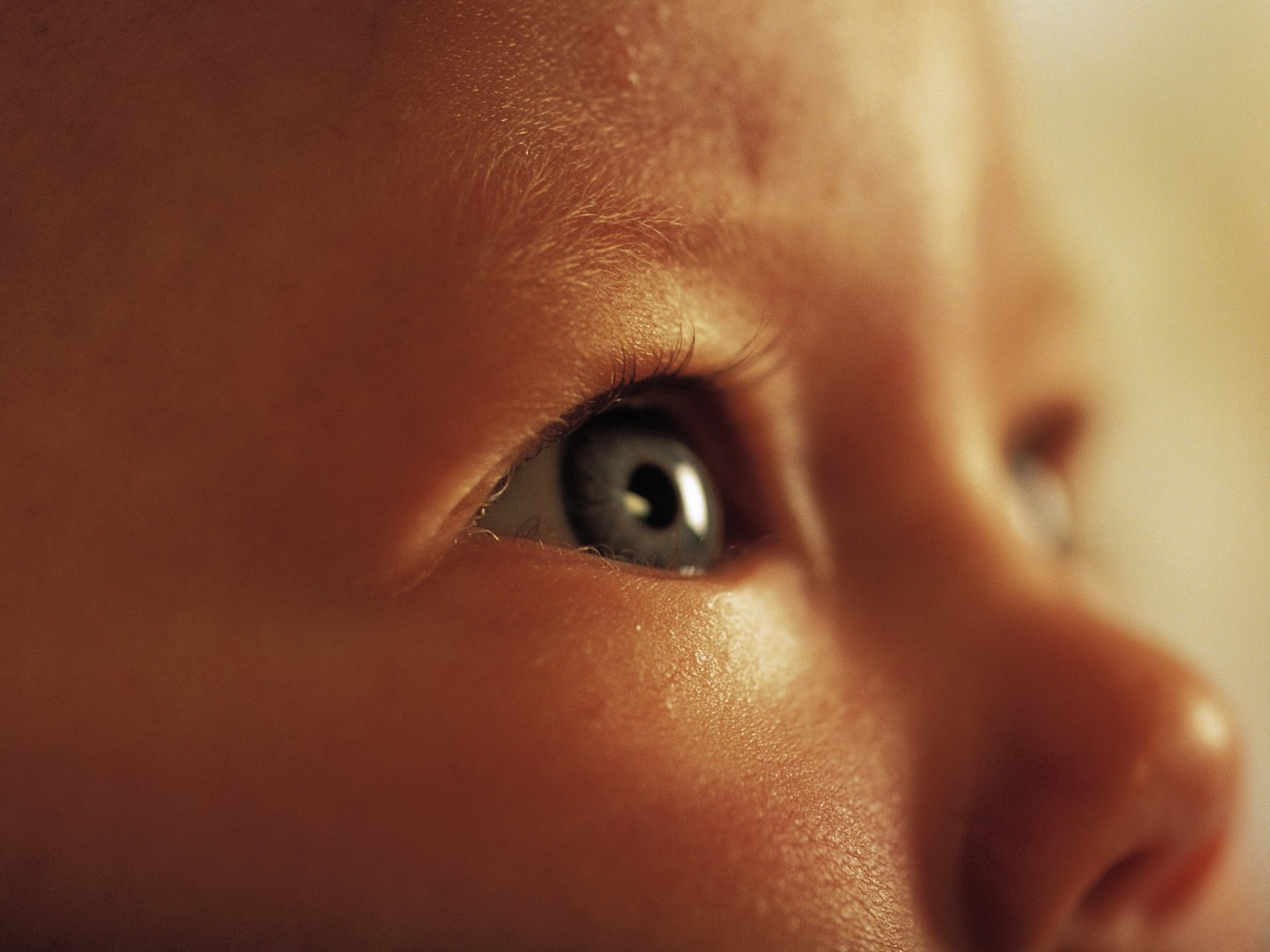 occhi marroni naso camuso bambino sguardo occhi faccia ritratto