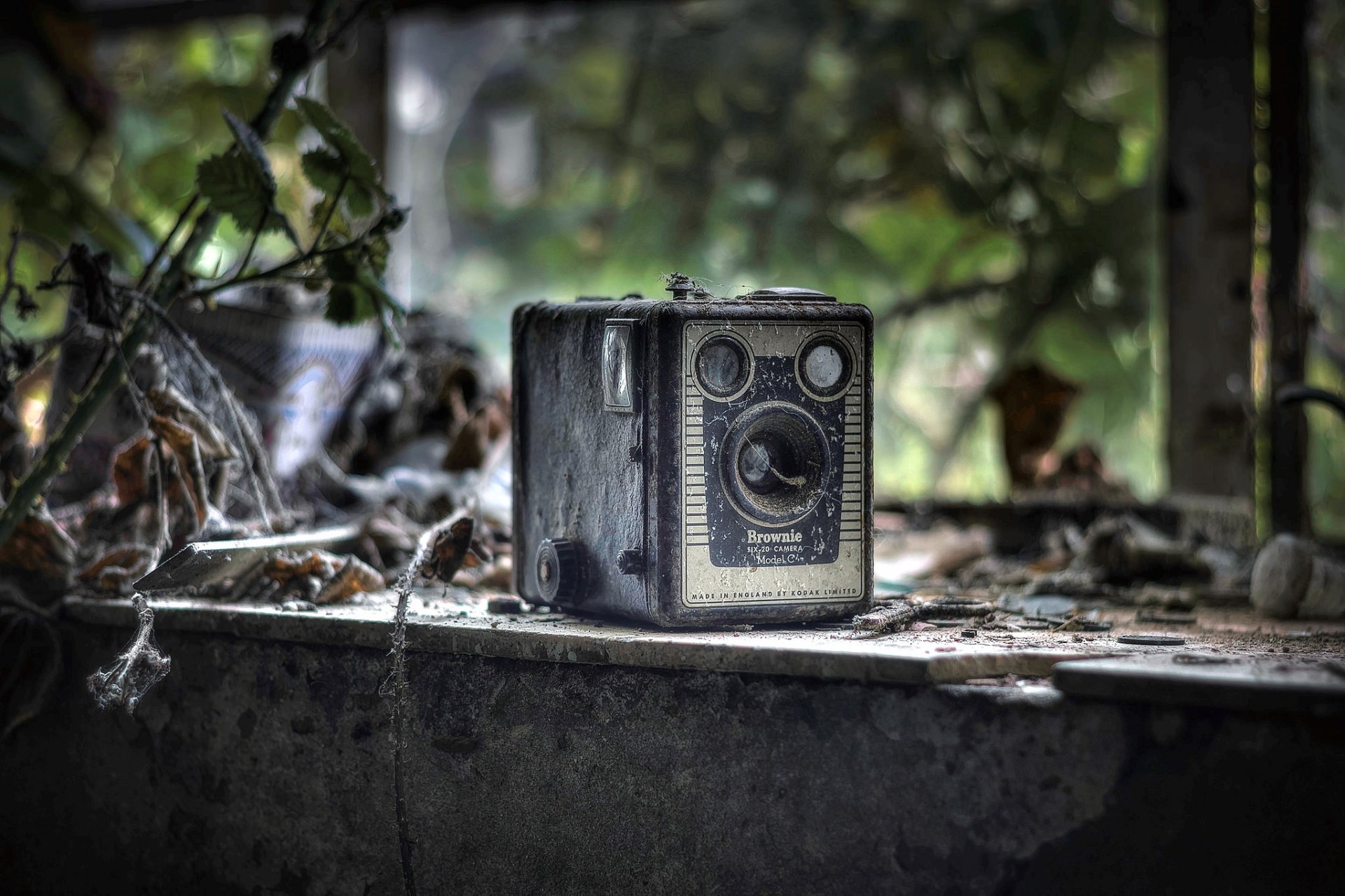 the camera window background