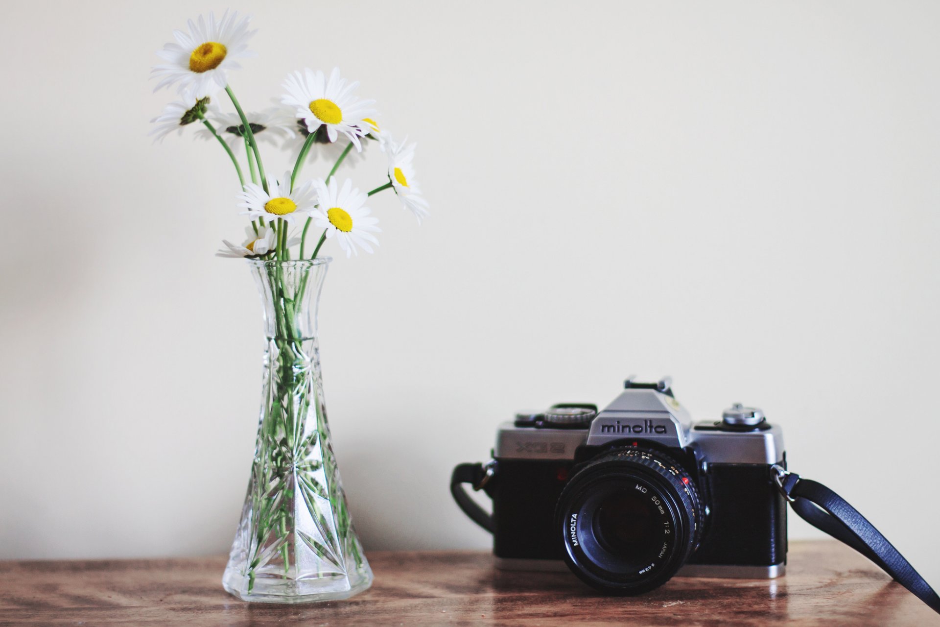 kamera blumen hintergrund