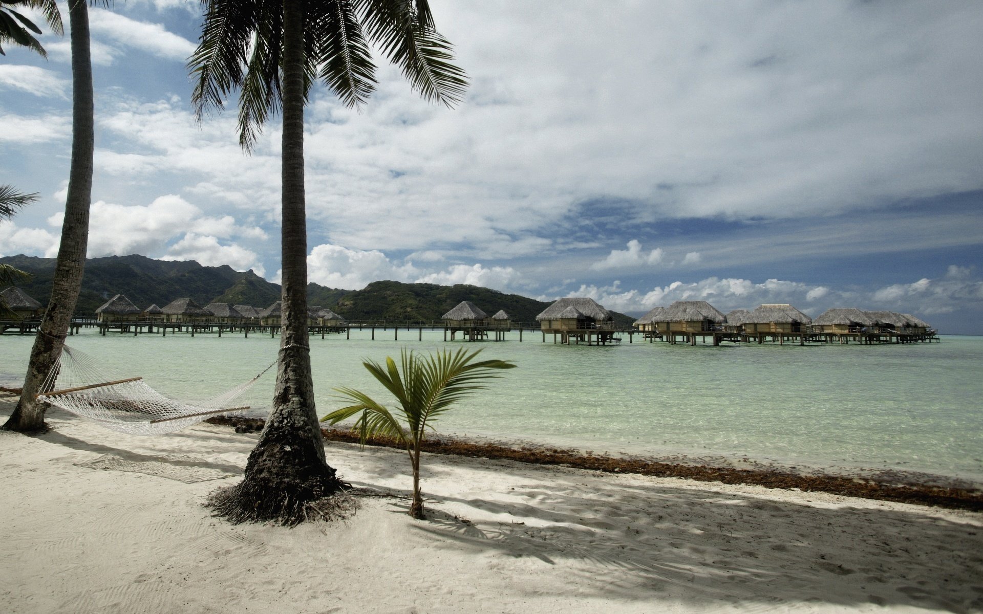 arena blanca plantas tropicales casas en el agua playa agua cielo palmeras nubes hamaca mar vacaciones vacaciones