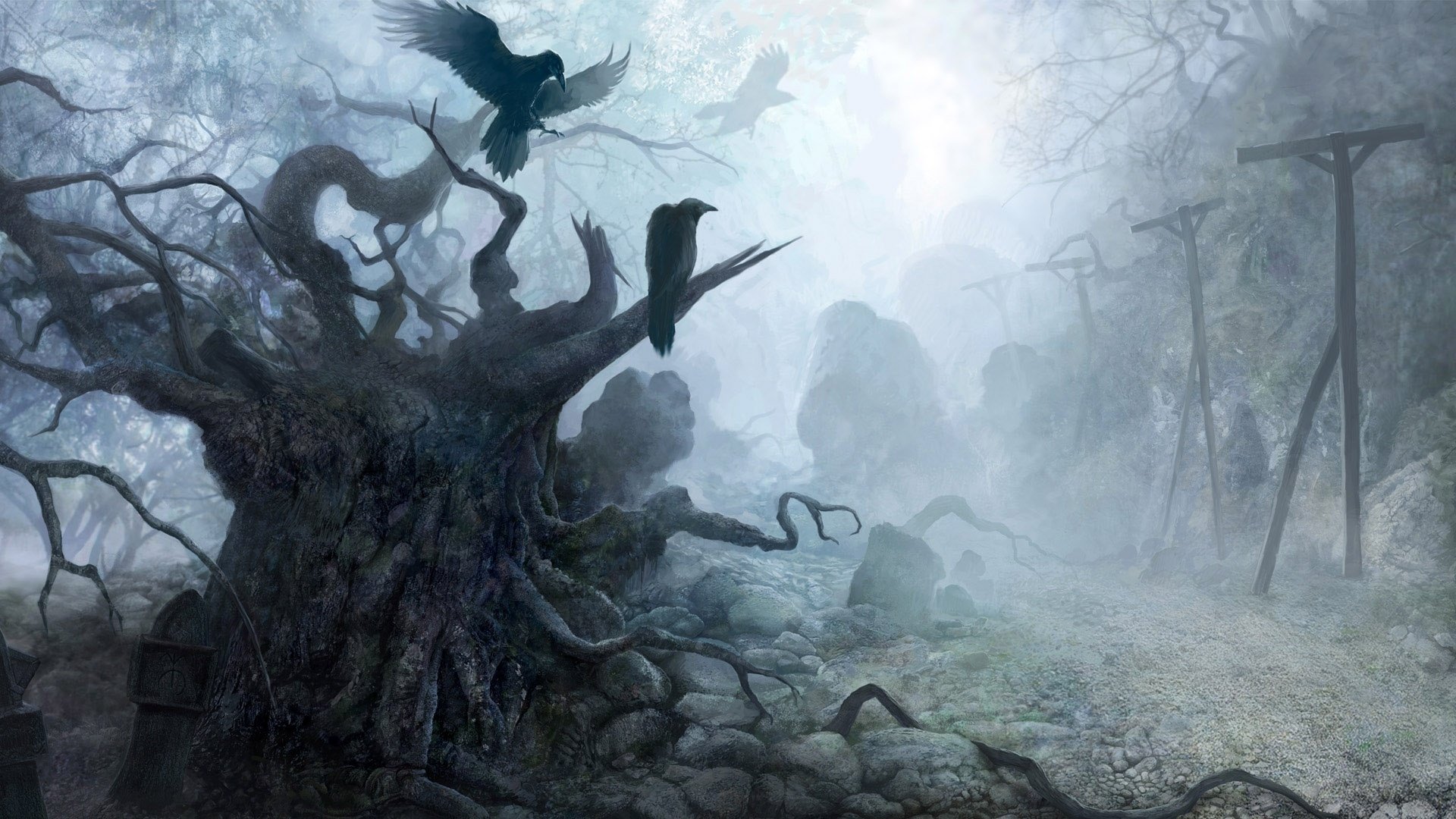 forêt sombre arbres secs ombres