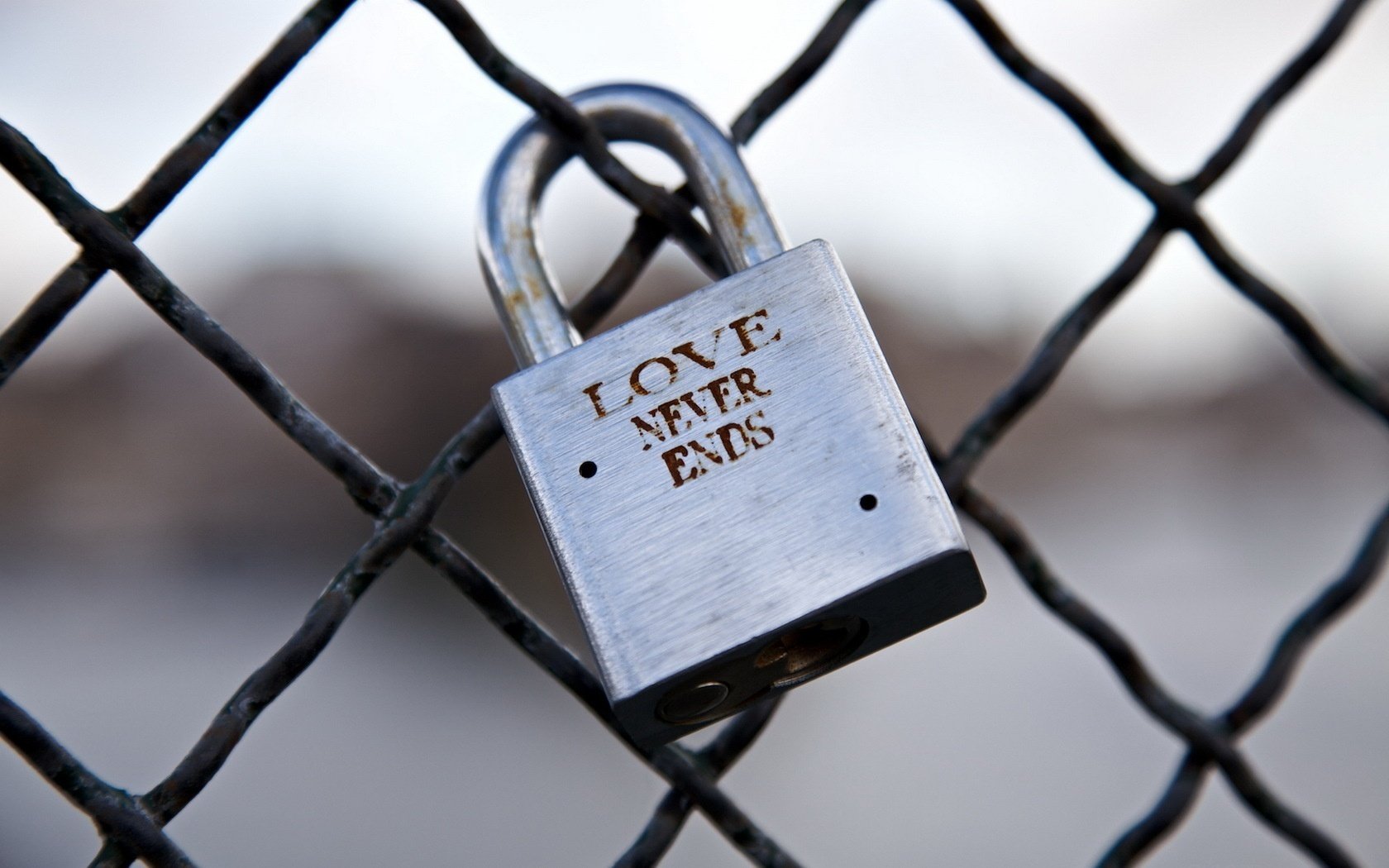 castle of love forever the fence mesh feelings love