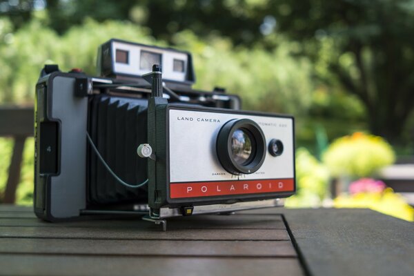 Polaroid-Kamera auf einem Tisch im Park