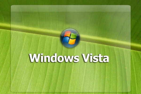 Windows logo with a light green leaf