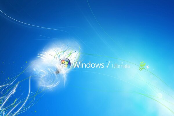 Logotipo de microsoft windows 7 sobre fondo azul con ramitas pintadas