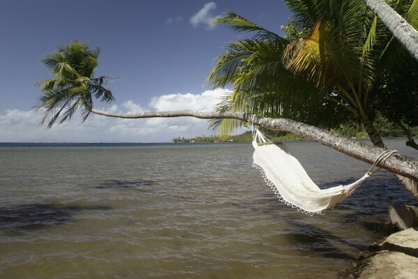 Tropical island and sea landscape