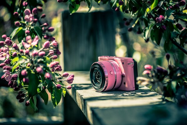 Eine rosa nikon-Kamera auf einer Bank vor einem Hintergrund von Blumen