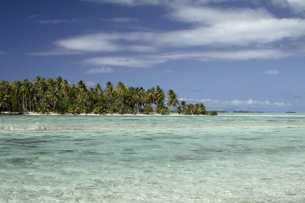 Light waves on the shore of a tropical island