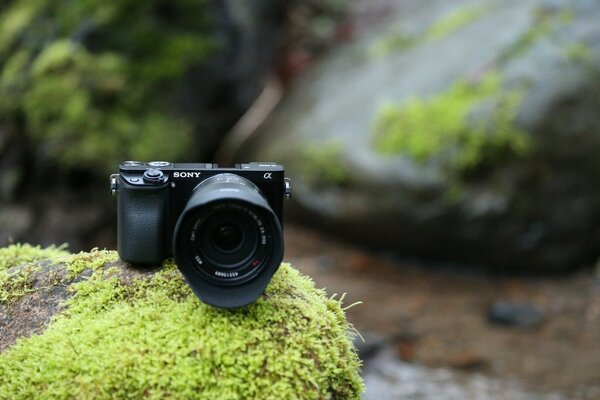 Excellent photos are obtained on a high-tech camera