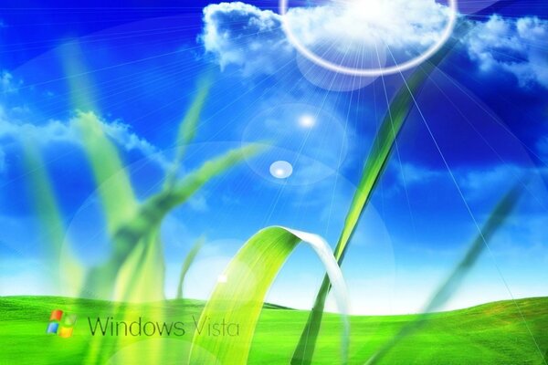 Logo di Windows Vista nel campo