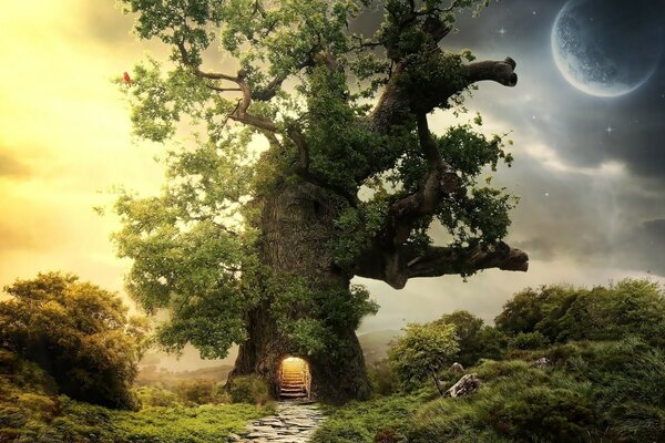 Casa sull albero AL CHIARO DI LUNA
