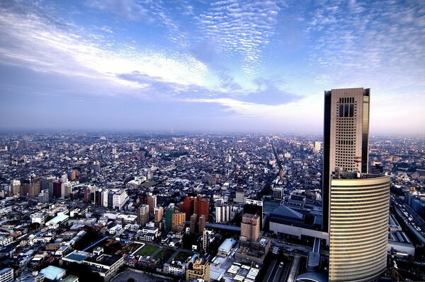 Panorama of the city with skyscrapers and clouds