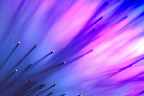 Fili sottili su sfondo rosa e blu