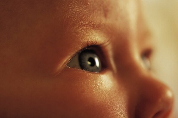 Portrait of a baby with brown eyes and a snub nose