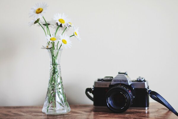 Klassische Kamera im Objektiv mit Blumen