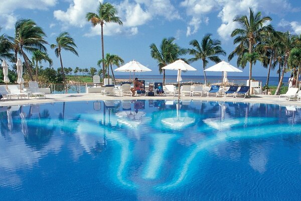 Entspannung mit Pool, Liegestühlen und Palmen