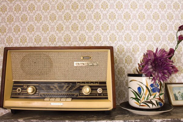 Rétro radio et fleur en pot