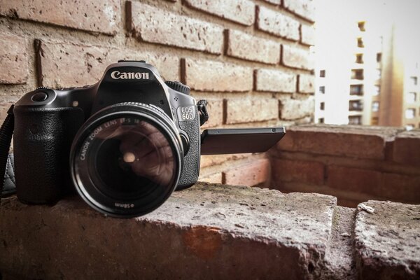 Caméra pour les amateurs et les débutants amateurs de photographie