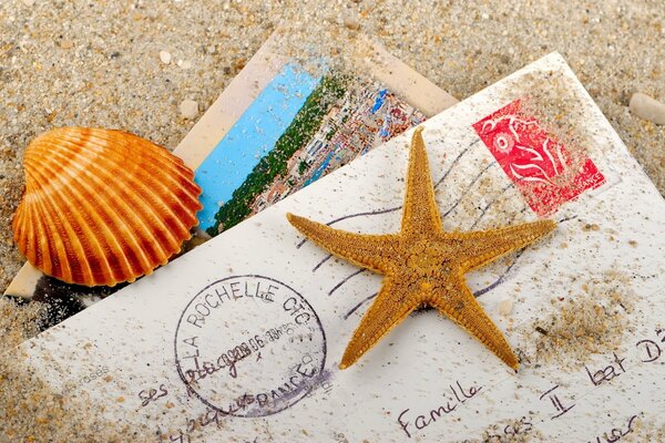 Enveloppes sur la plage de sable avec des coquillages