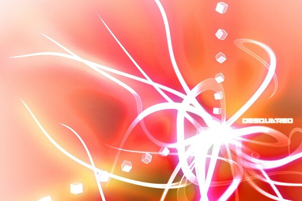 Altes CD-Cover aus dem Club