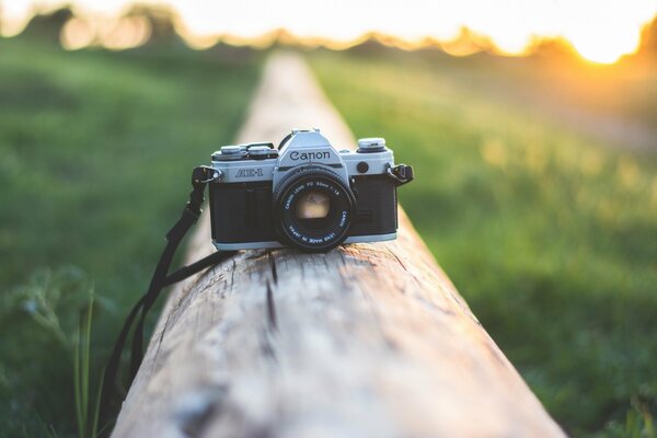 Vecchia fotocamera a pellicola canon su un tronco con sfondo sfocato