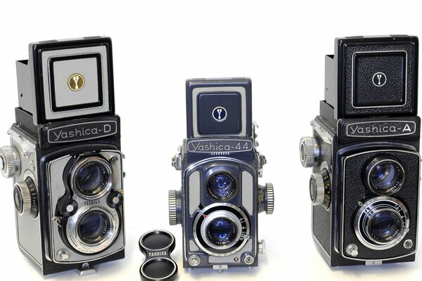 New cameras for macro shooting for you