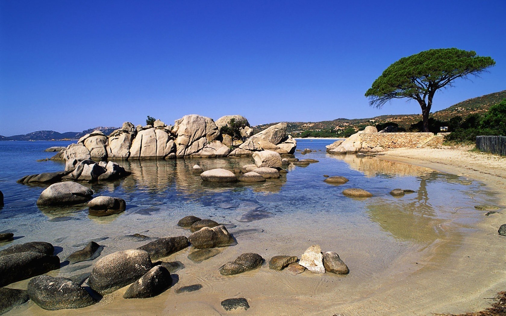 albero dei tropici rocce bianco acqua cielo riva cielo blu surf natura paesaggio ciottoli costa spiaggia paradiso alberi