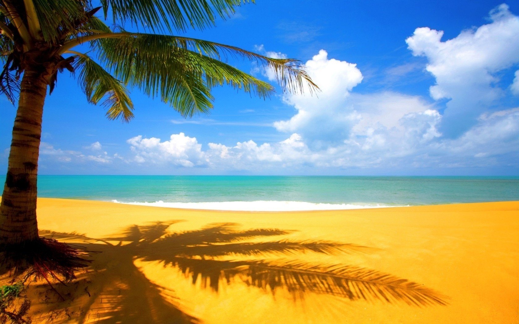 sabbia infuocata palma vecchia aria di mare spiaggia acqua cielo riva palme mare oceano surf onde orizzonte cielo blu paesaggio paradiso tropici caldo nuvole