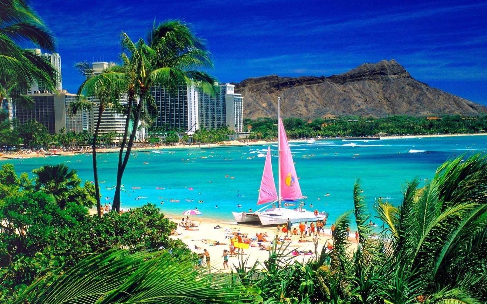 grandes edificios ventanas de cristal velas rosadas playa mar agua verano sol calor estado de ánimo palma hojas barco arena gente costa cielo resort