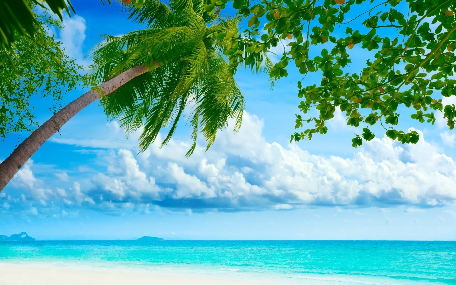 schwimmende wolken sattes grün pflanzen himmel meer wasser strand sommer sonne hitze wellen stimmung palmen