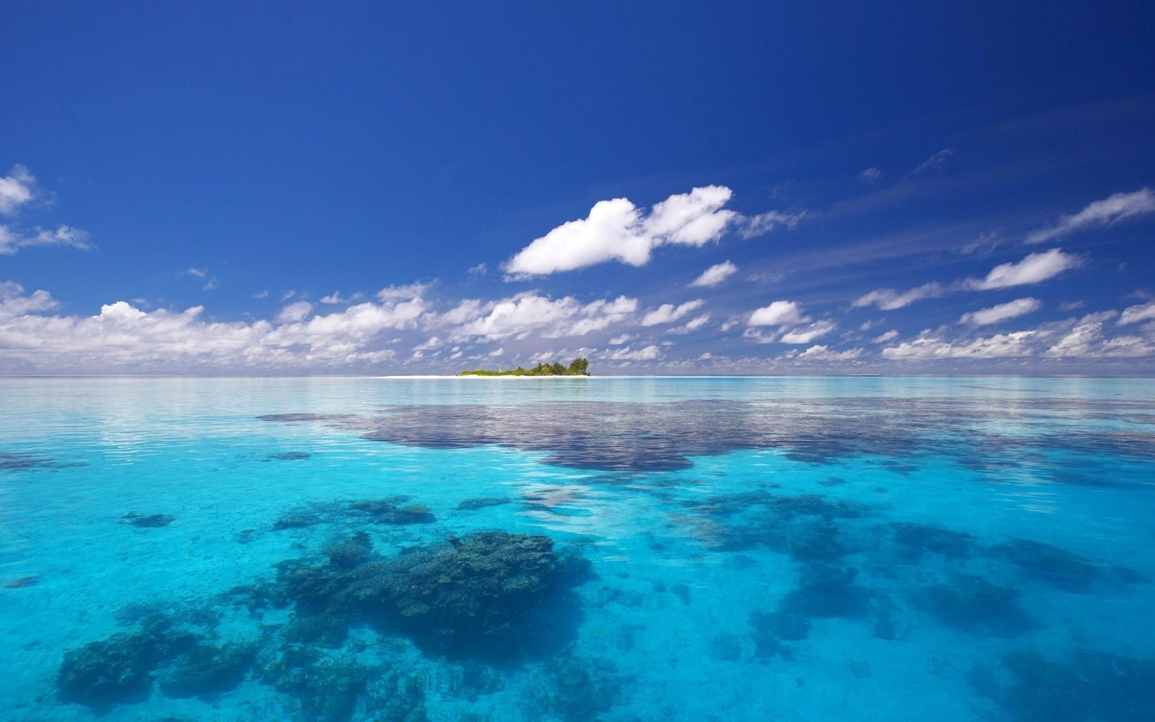 plantas subacuáticas agua salada luz del sol agua cielo mar isla horizonte trópicos nubes verano calor azul azul paraíso