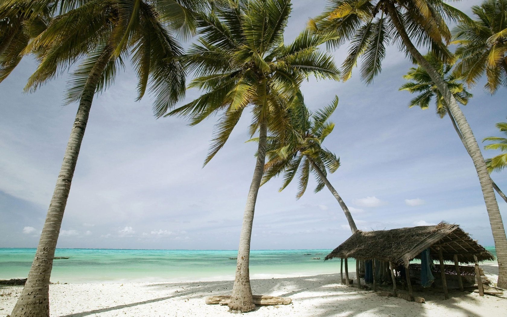 holzkonstruktion sturm wind strand wasser ufer himmel palmen horizont ozean natur landschaft bäume sand brandung haus tropen sommer urlaub