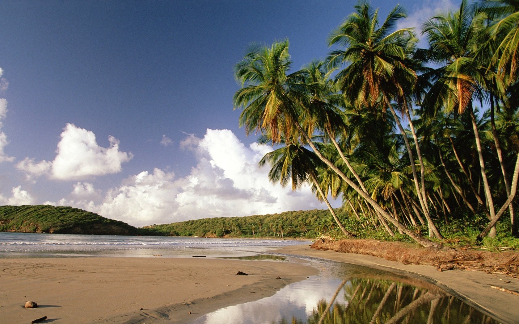 boschetto di palme immagine speculare cielo scuro acqua riva cielo palme isola nuvole natura paradiso tropici mare onde surf sabbia vegetazione esotico