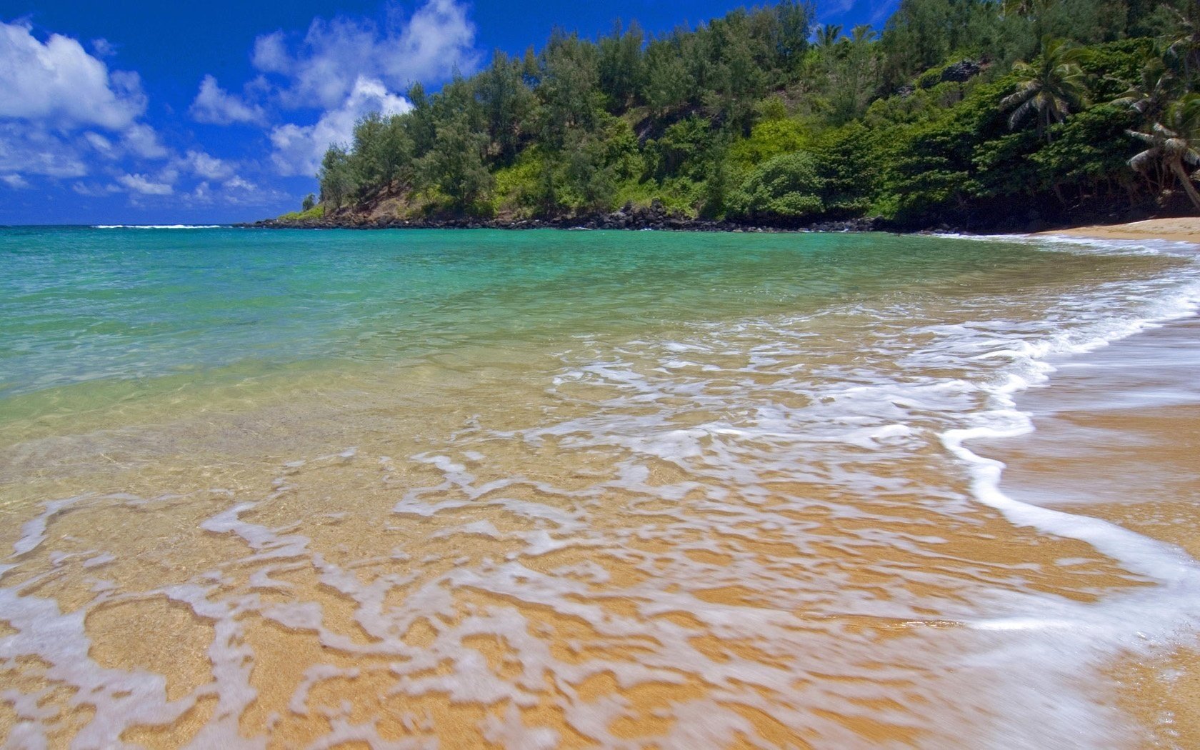 rayos cálidos espuma en el agua bosque agua costa cielo