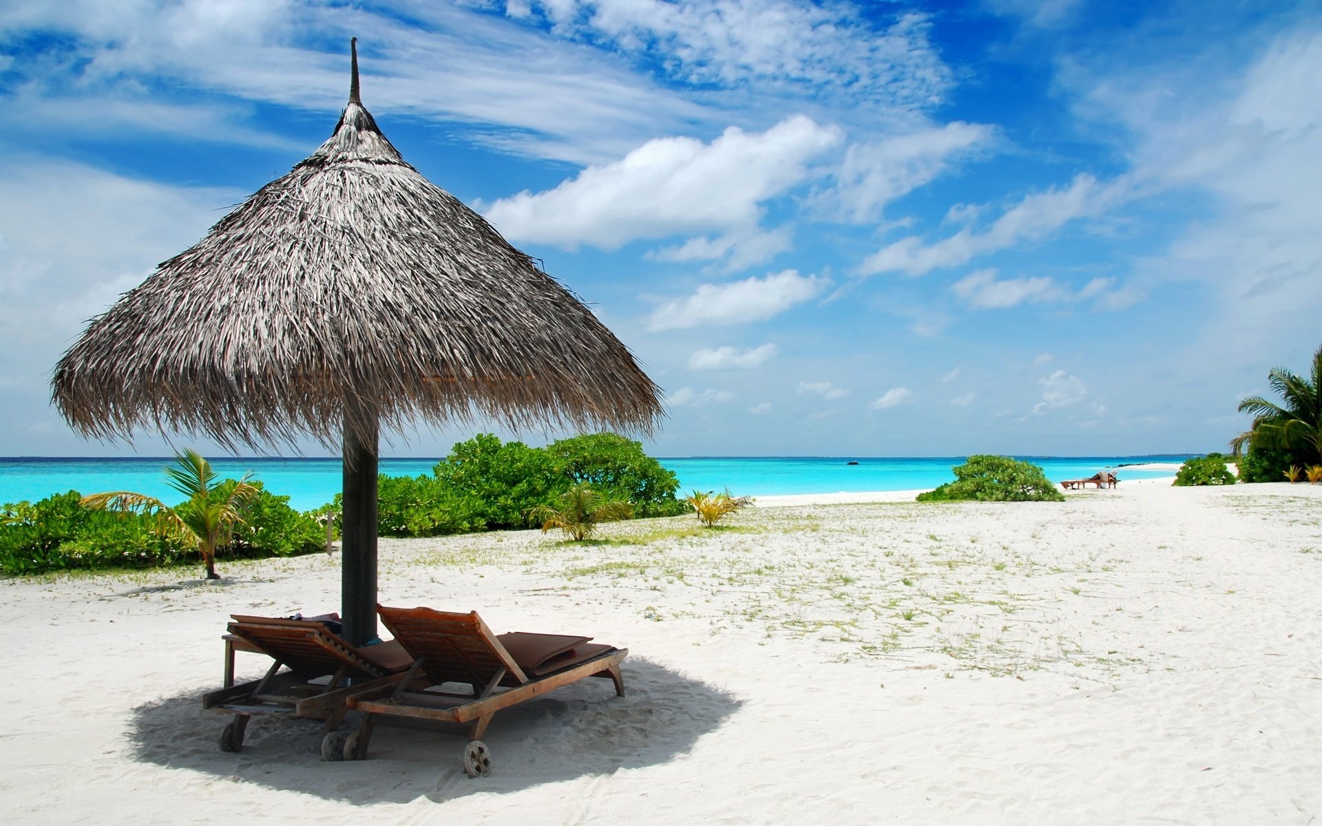 regenschirm aus stroh ruhezeit brise strand himmel küste meer ozean liegestühle resort urlaub urlaub sommer hitze hitze natur landschaft wolken sträucher pflanzen