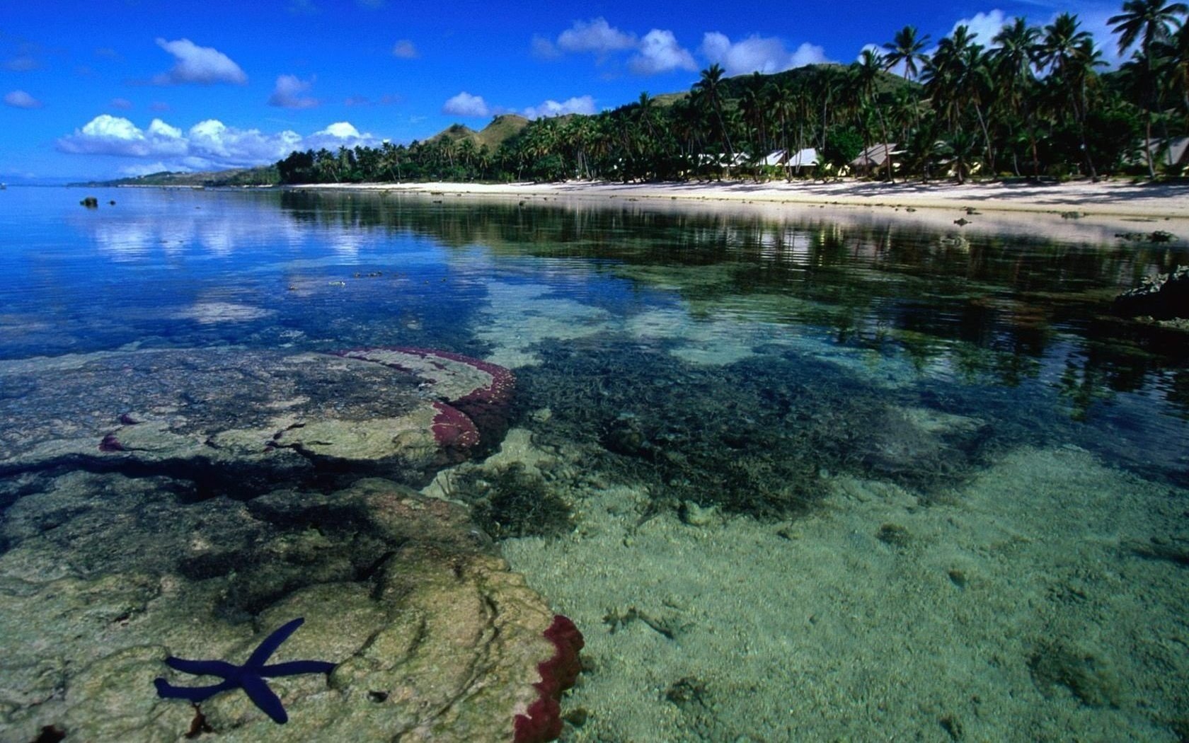 felsiger boden seestern blau strand wasser himmel ufer palmen bäume unter wasser sauberes wasser meer