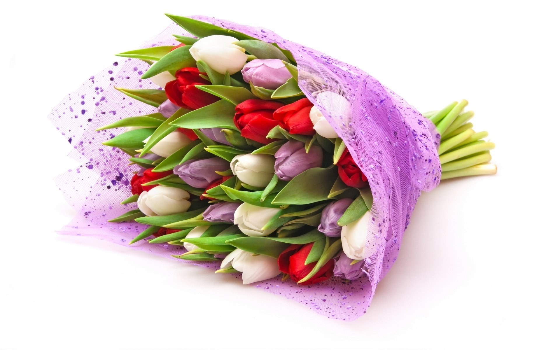 closed buds flowers tulips different colors bouquet