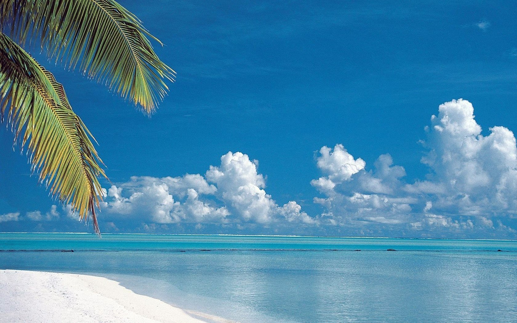 üppige wolken grünzweige klarer himmel strand wasser himmel meer horizont natur azurblau blau insel landschaft freizeit sommer hitze hitze