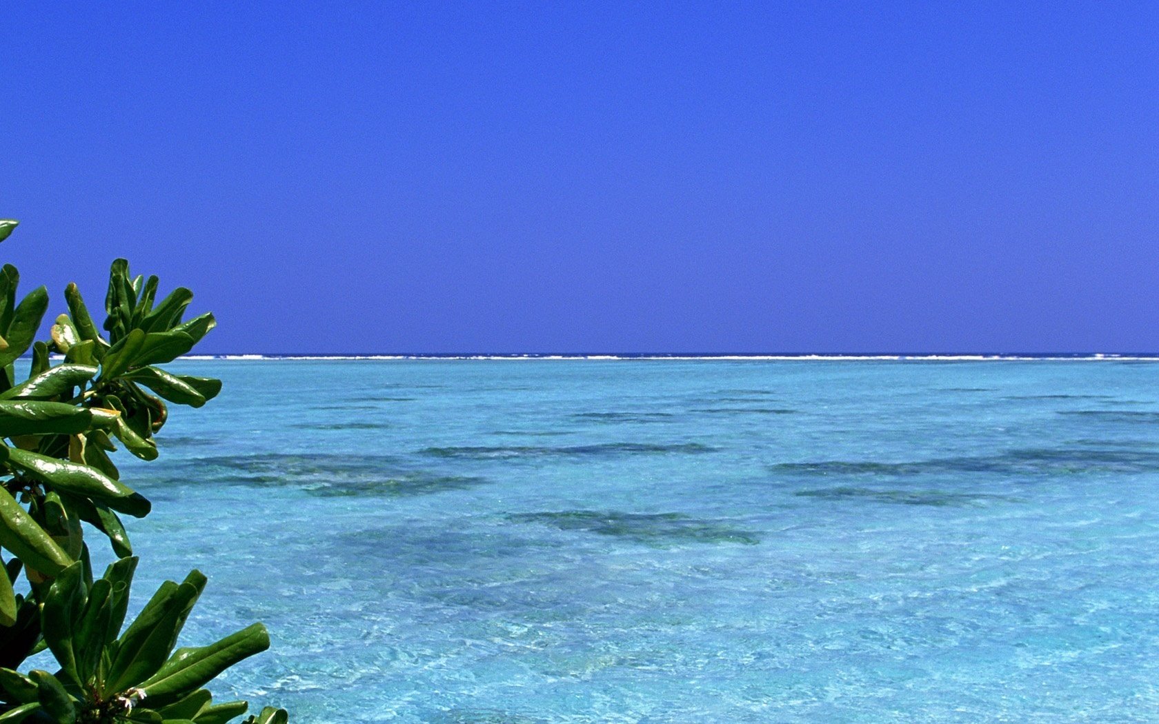 quiet mill blue water leaves water the sky sea horizon landscape nature blue lazur